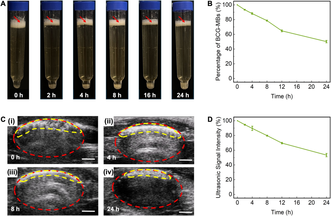 臺式掃描電鏡 臺式掃描電鏡