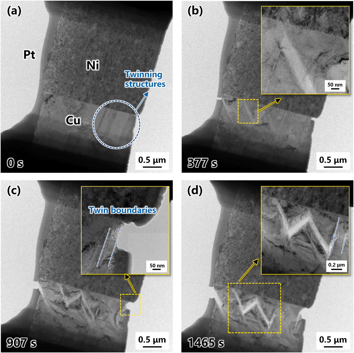 澤攸科技原位TEM